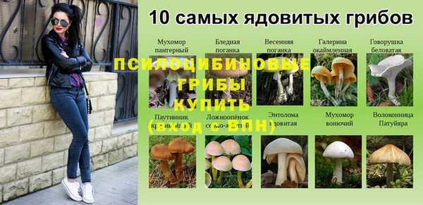 герыч Алексин